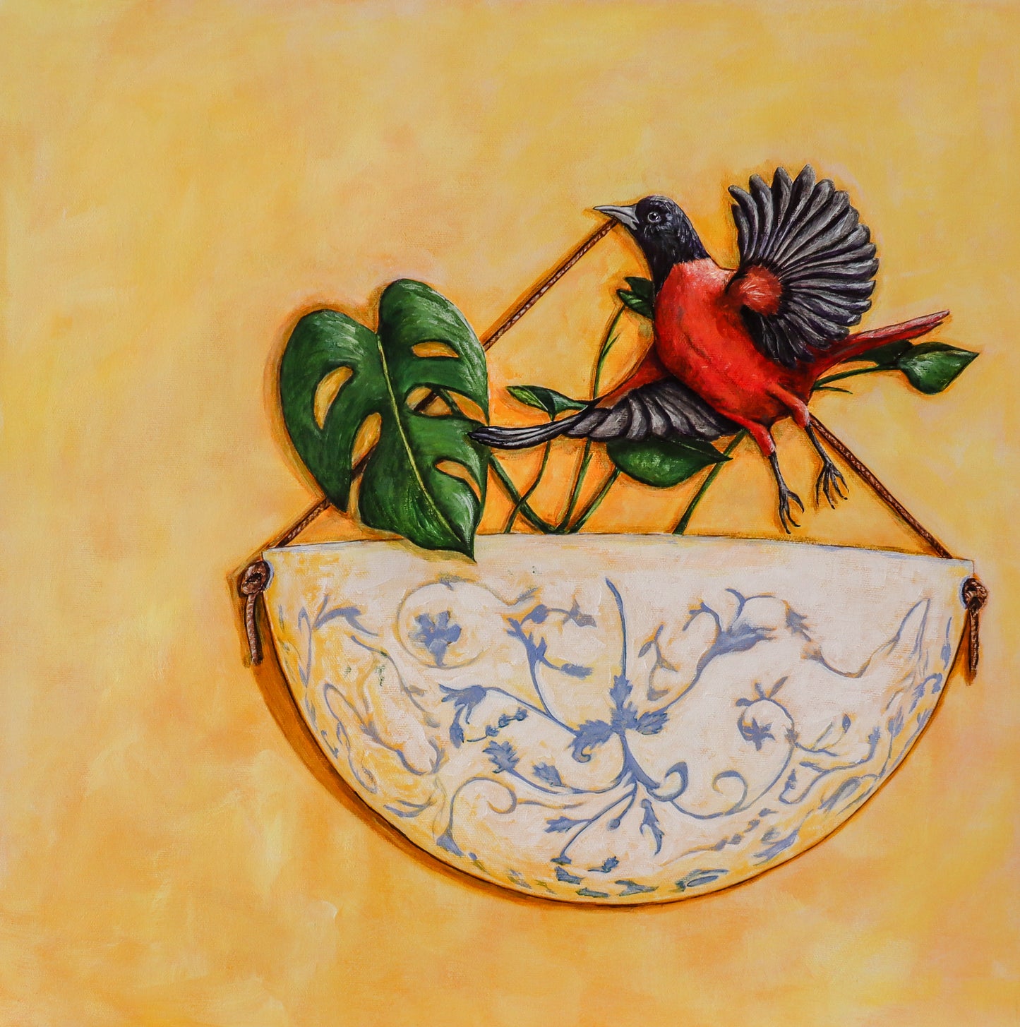 Oriole Lift Off