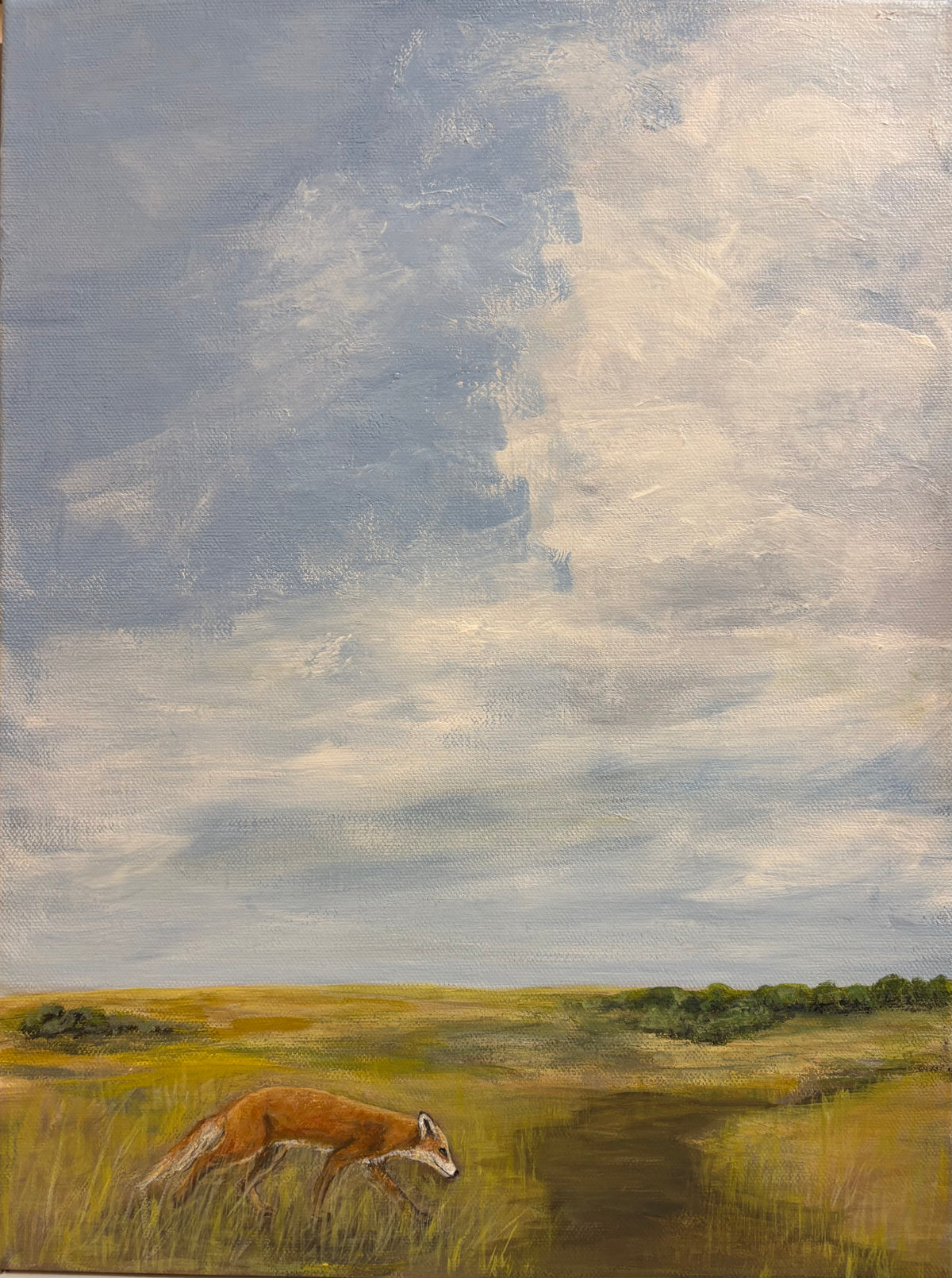 Prairie Fox