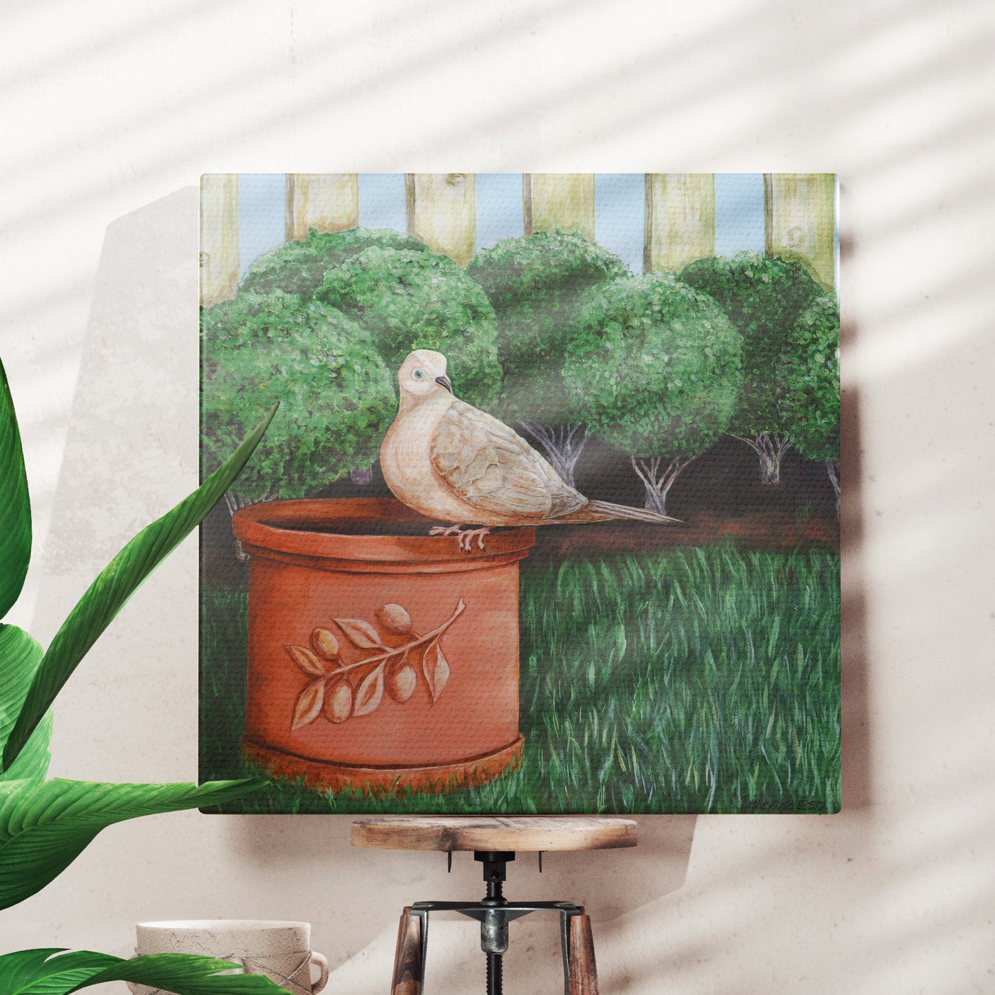 Peace Dove's Cousin