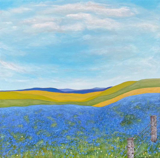 The Alberta Sky