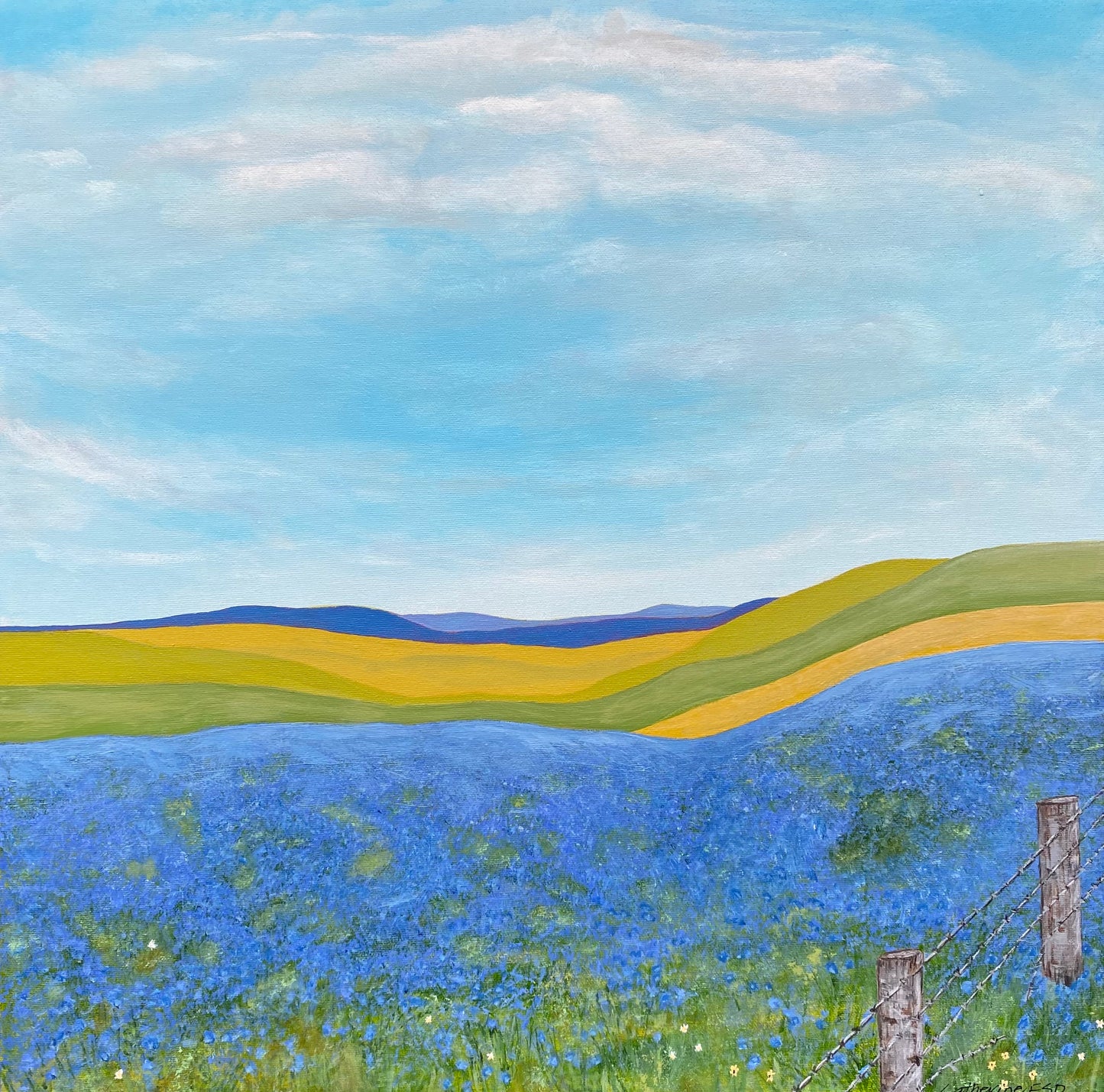 The Alberta Sky