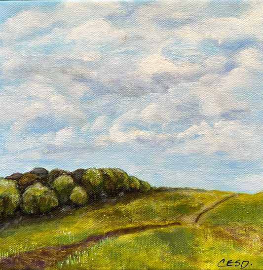 Country Walk
