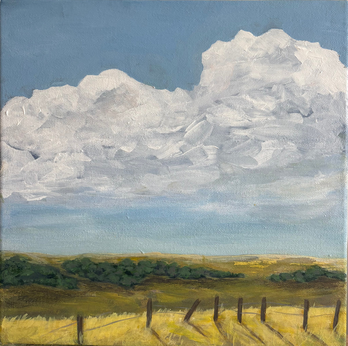 My Prairie Soul #1