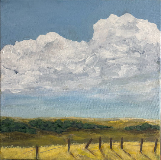 My Prairie Soul #1